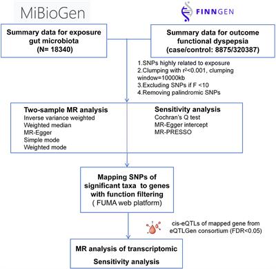 Gut microbiota and functional dyspepsia: a two-sample Mendelian randomization study